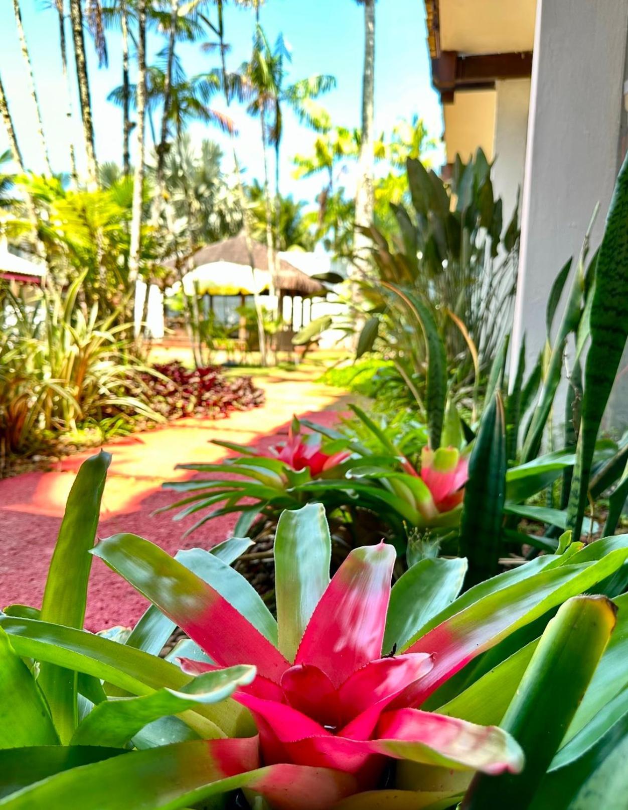 Hotel Casa Paradiso 과루자 외부 사진