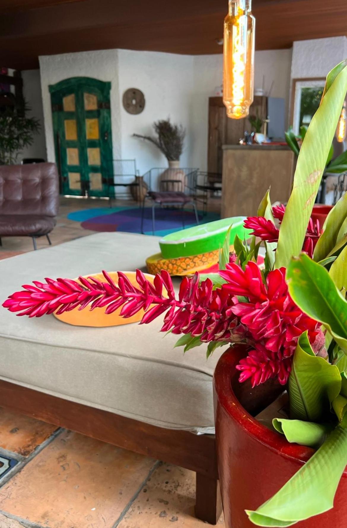 Hotel Casa Paradiso 과루자 외부 사진