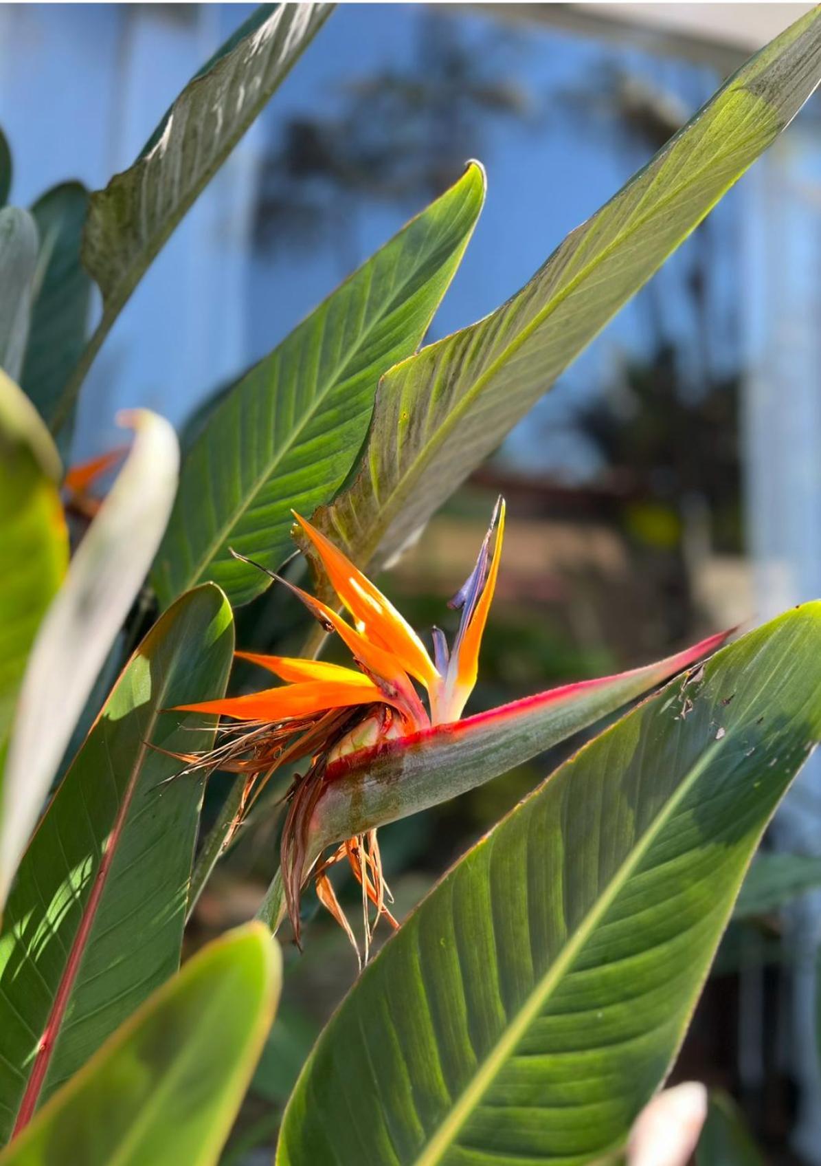 Pousada Casa Paradiso Guaruja 호텔 외부 사진